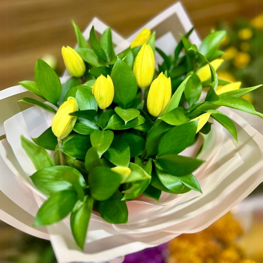 Ramo de 10 Tulipanes