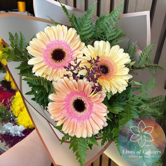 Ramo de 3 Gerberas, con follajes silvestres y toques de limonium.
